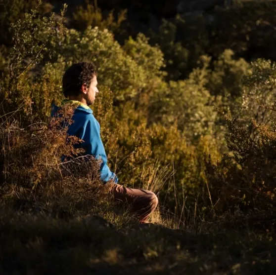 Cuasa Cuadrau, Forest Bathing - Shinrin Yoku, Vió, Huesca, Spain